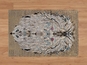 sh91885